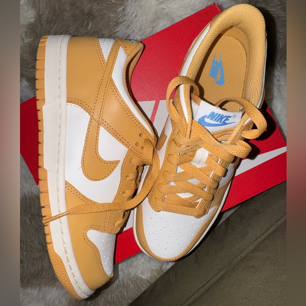 Nike Dunk Honeycomb and Sail Sneakers